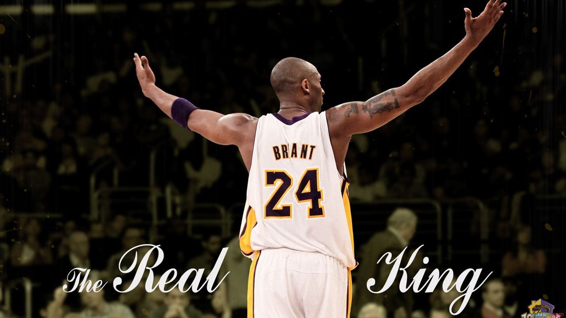 费德勒遭遇五连败，西班牙队教练面临压力！